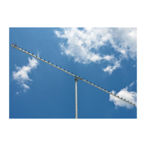 23cm36DX (PA1296-36-3BRG 23cm 36EL)